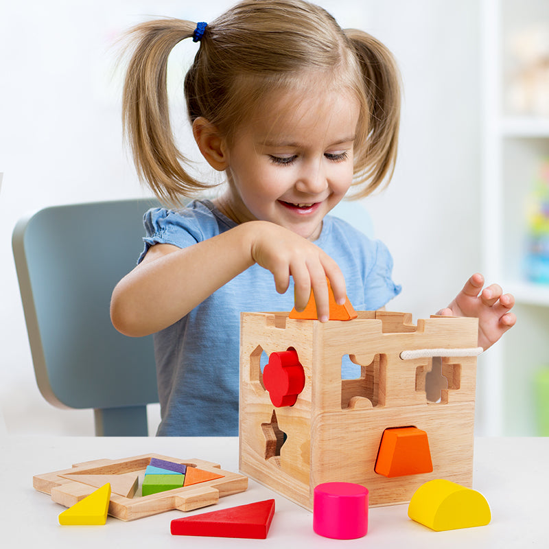 Montessori Creative Tangram puzzle shape building block