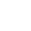Free & Fast Shipping